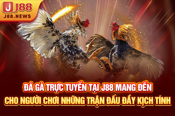 Đá gà trực tuyến tại J88 mang đến cho người chơi những trận đấu đầy kịch tính
